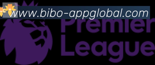 必博bibo官网体育合作伙伴